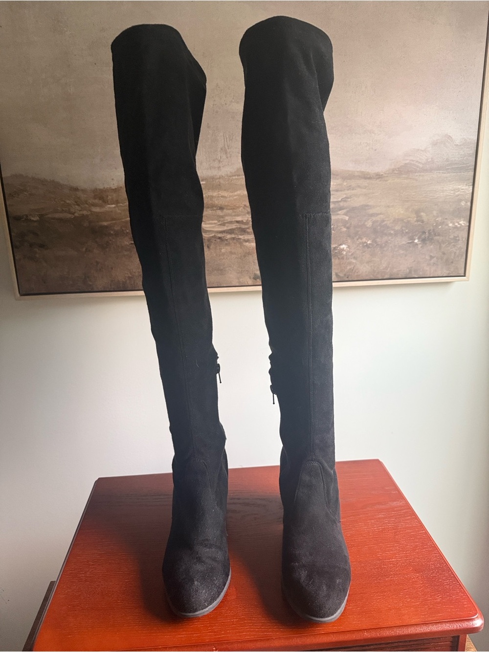 Over-the-Knee Black Faux Suede Women's Boots